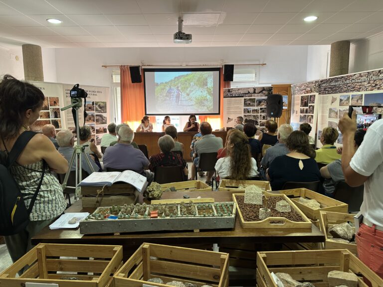 Panoramic view from the back of a room where a round table discussion is taking place with four speakers behind a table. In the foreground are models and wooden boxes containing stones from the exhibition, followed by the seated audience surrounded by informational banners and a screen projecting hiking images.